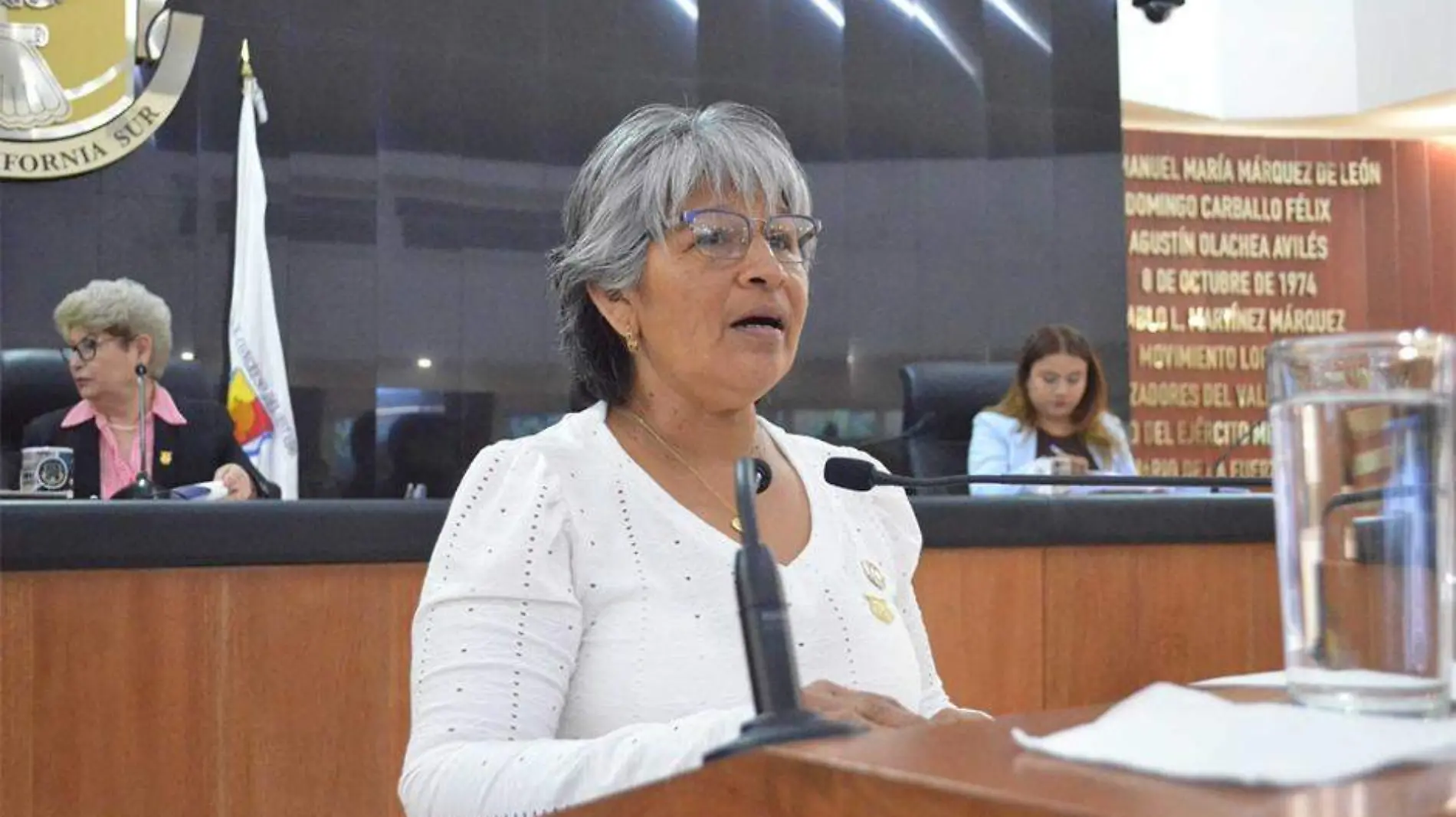 María Luisa Trejo propone web tribunal